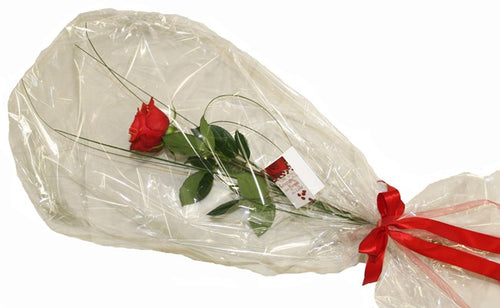 Eine einzelne schöne rote Rose, welche verziert und in einer edlen Verpackung inkl. Schleife dargestellt wird. Für ihren Abschied von den Liebsten.